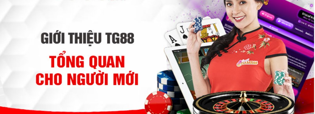 Tg88 nhà cái uy tín hàng đầu 